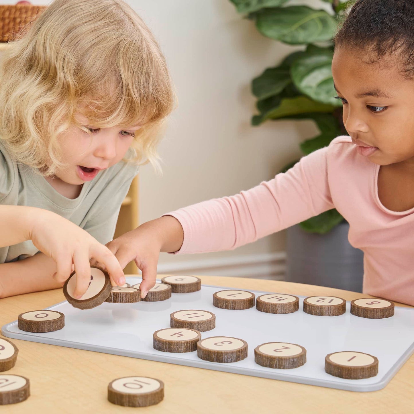 Magnetic Wood Cookie Counters