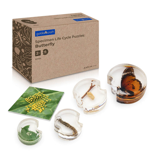 Specimen Life Cycle Puzzles