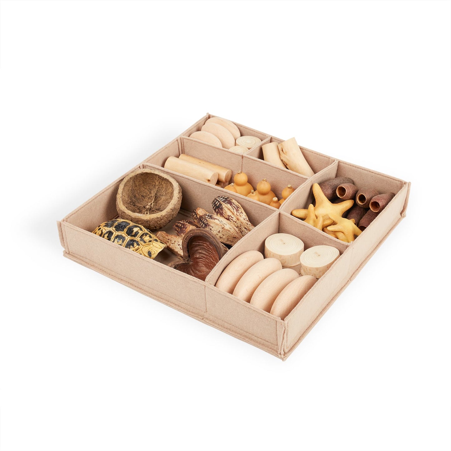 Nature's Geometry: Toddler Loose Parts STEM Kit