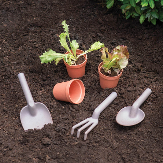 Martha Stewart Kids' Outdoor Gardening Tools and Pots
