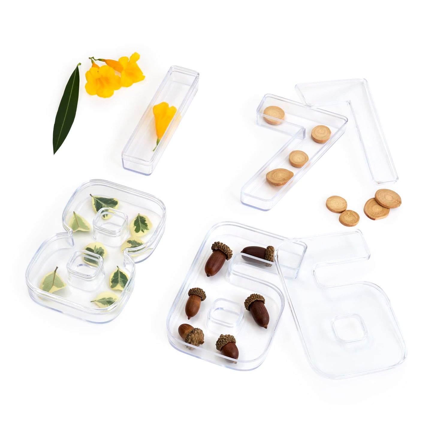 Loose Parts Number Trays
