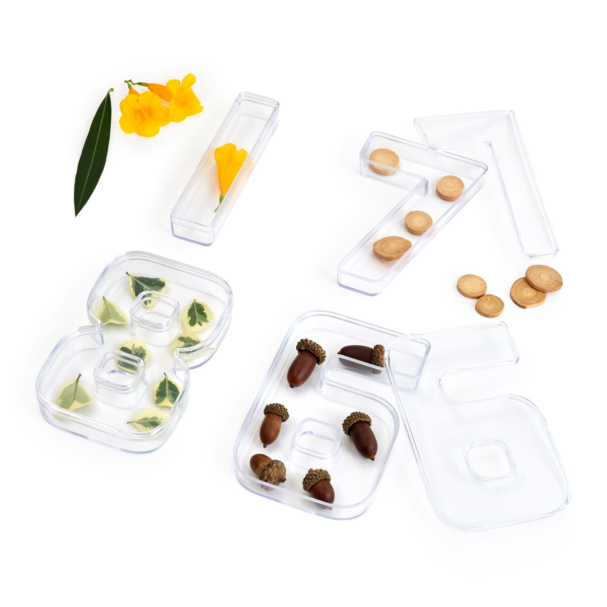 Loose Parts Number Trays