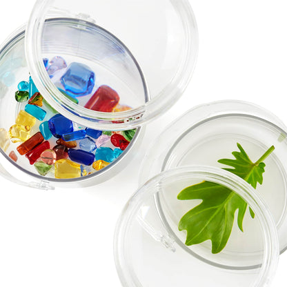 Carry and Discover Magnification Containers - Set of 2