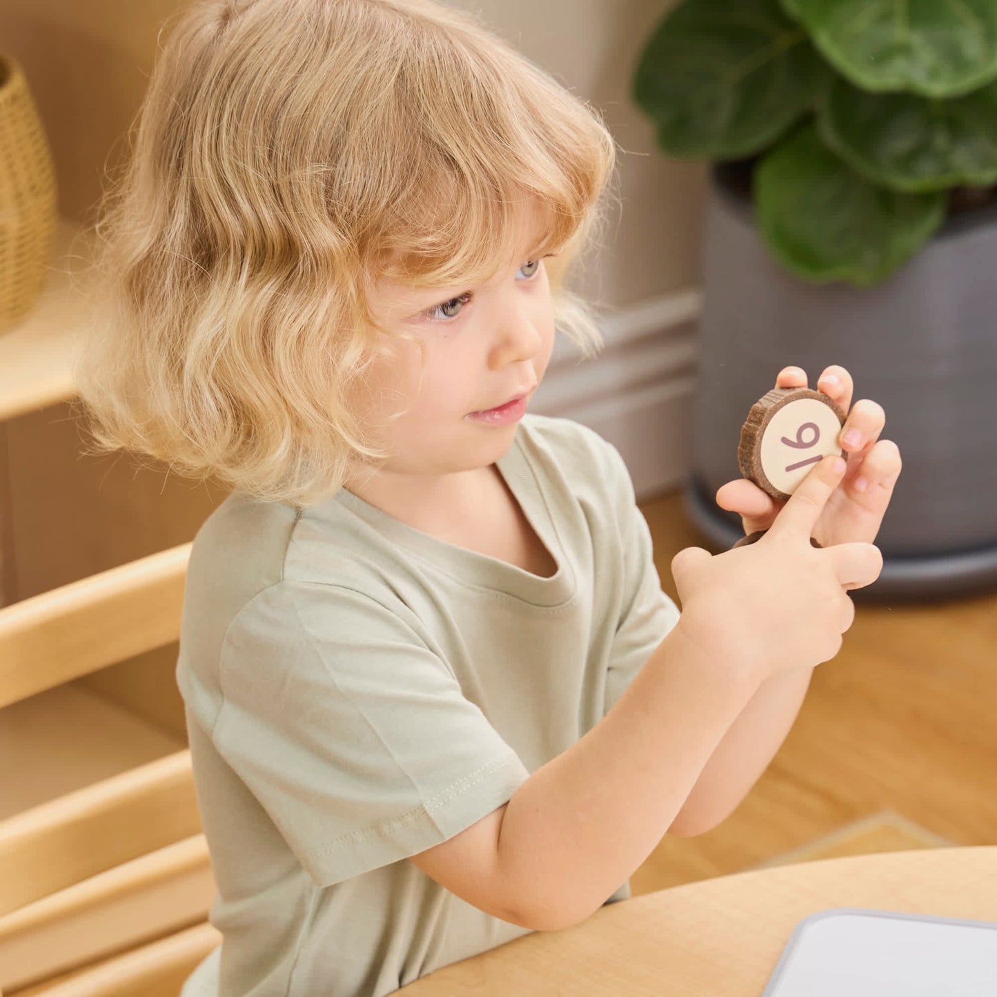 Magnetic Wood Cookie Counters