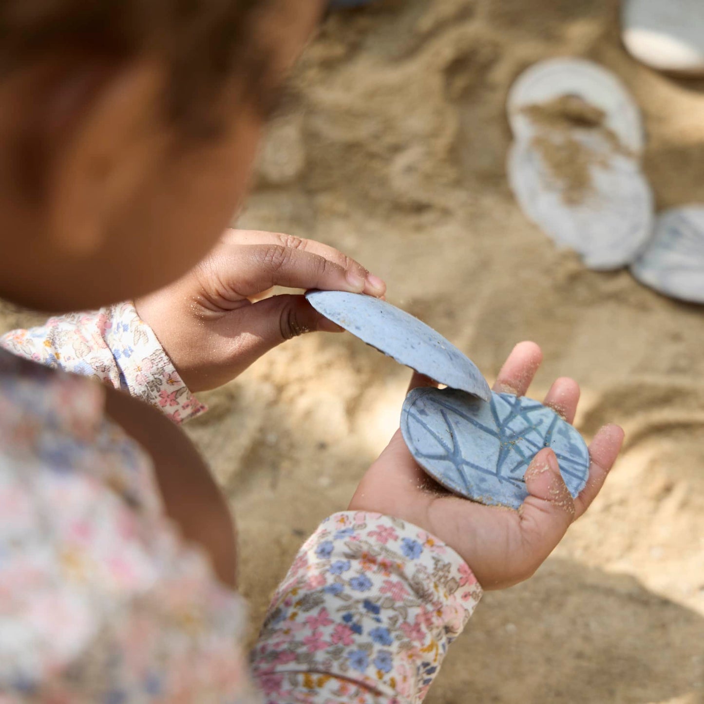 Magnetic Matching Fossil Stones: Aquatic Life - Set of 8
