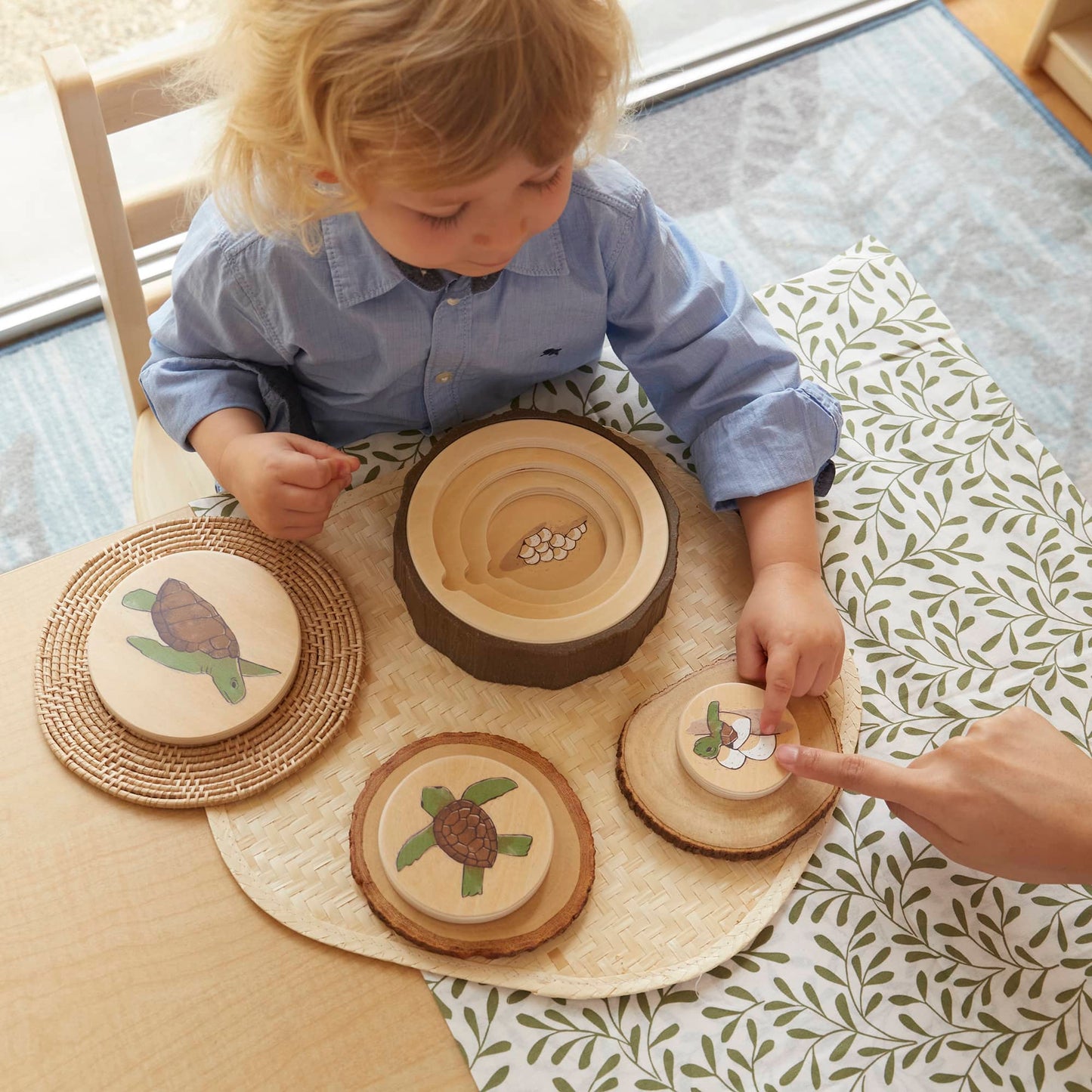 Lifecycle Puzzles - Set of 3