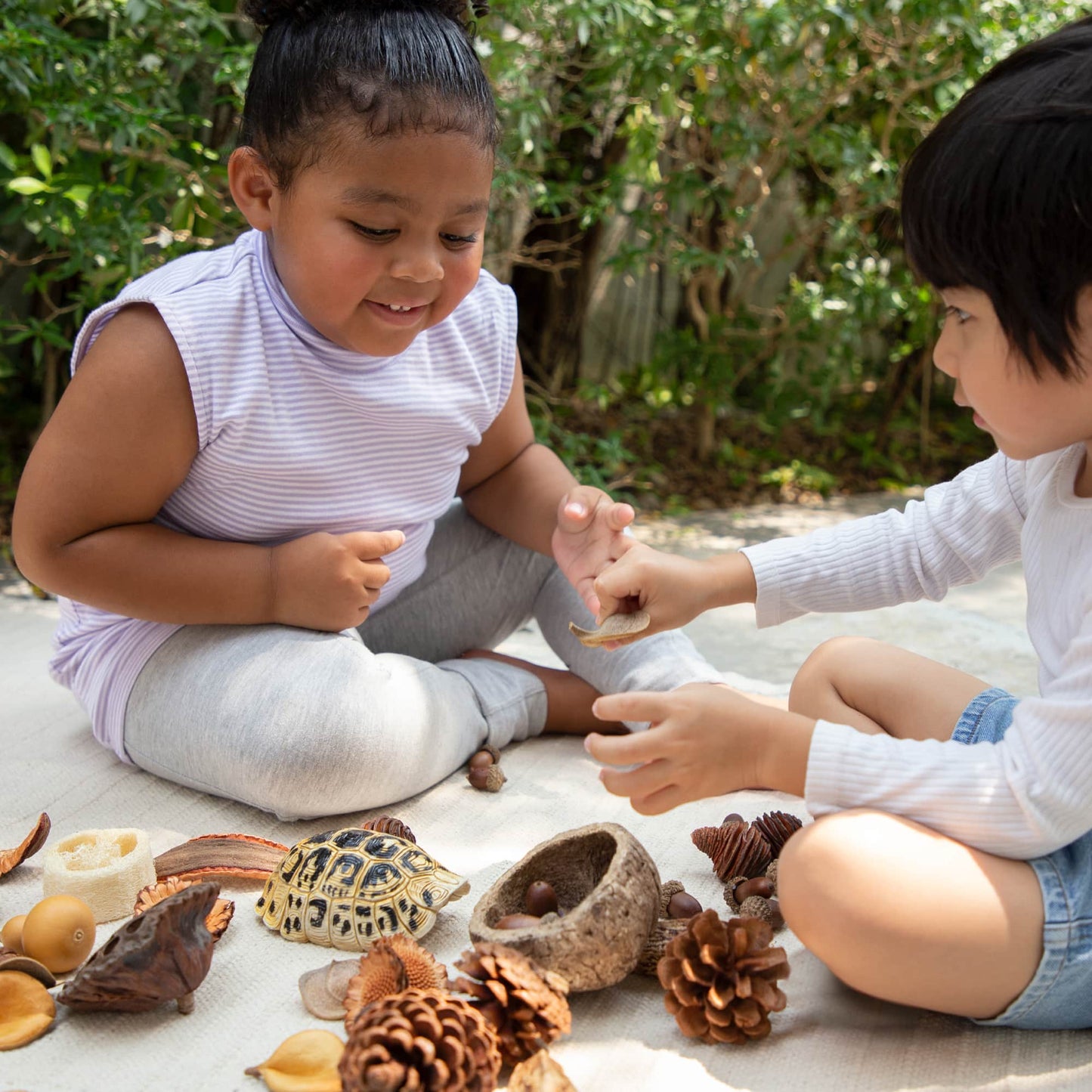 Nature's Geometry Loose Parts STEM Kit