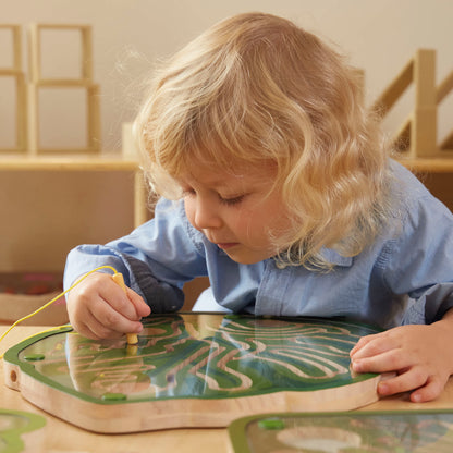 Nature's Paths Magnetic Leaf Mazes: Set of 3