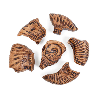 Magnetic Fossil 3D Puzzle