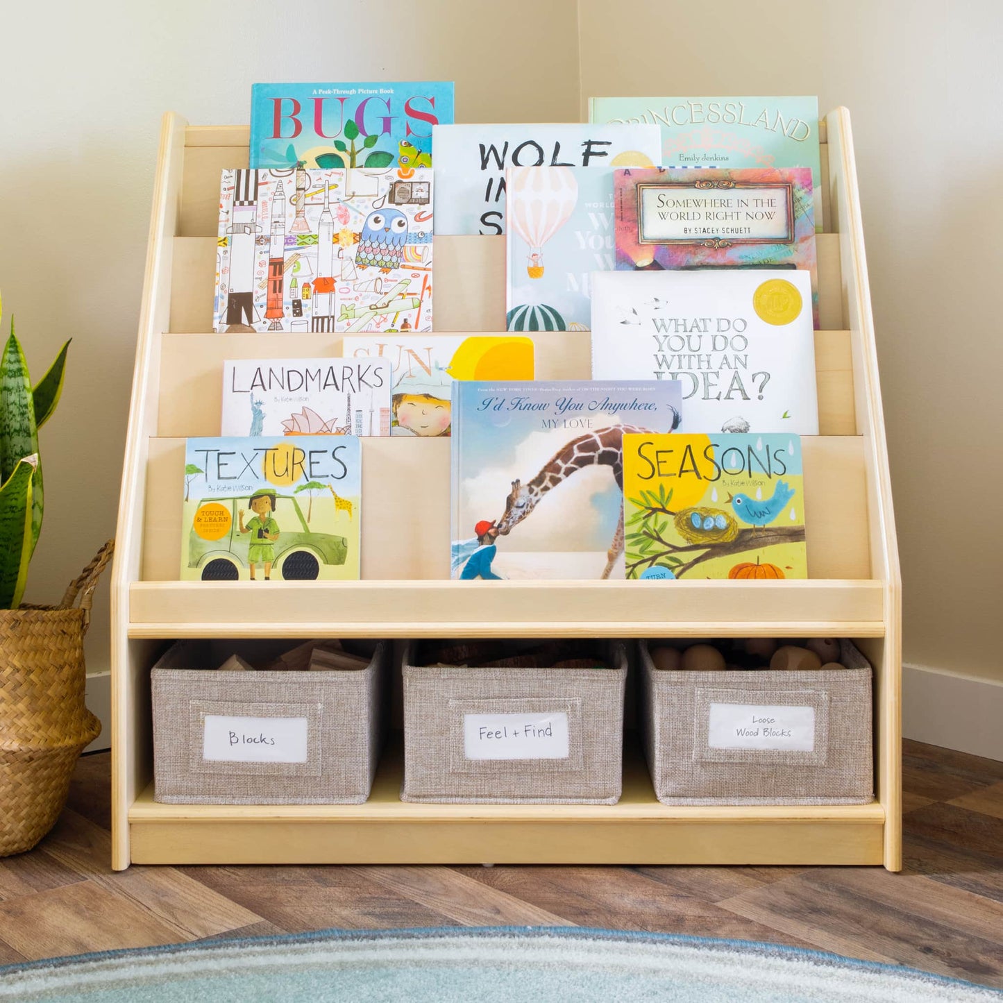 EdQ Book and Bin Display