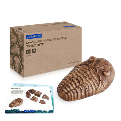 Magnetic Fossil 3D Puzzle