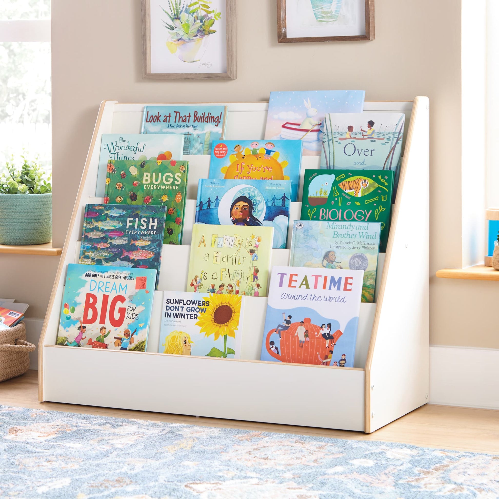 EdQ Book Display