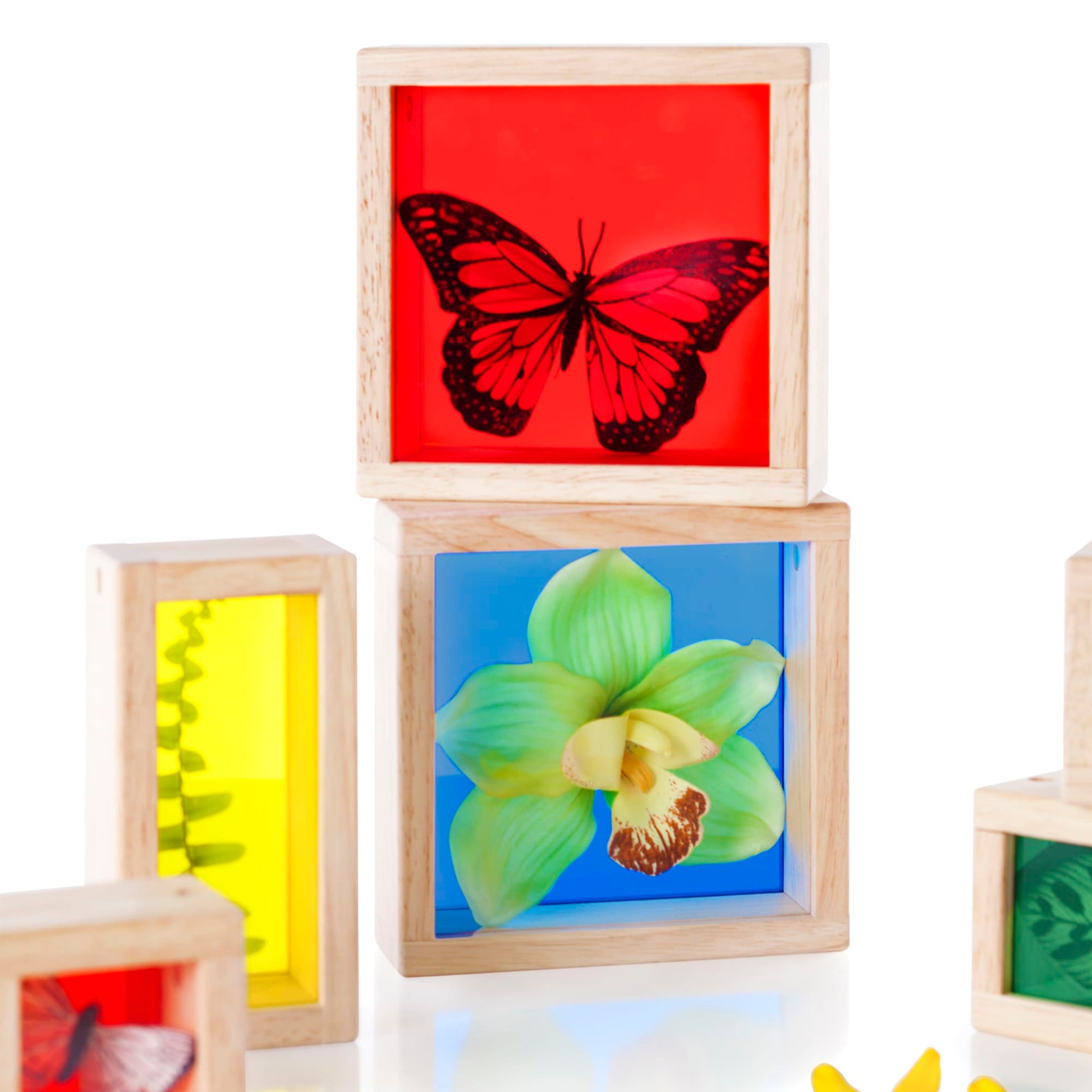 Treasure Blocks