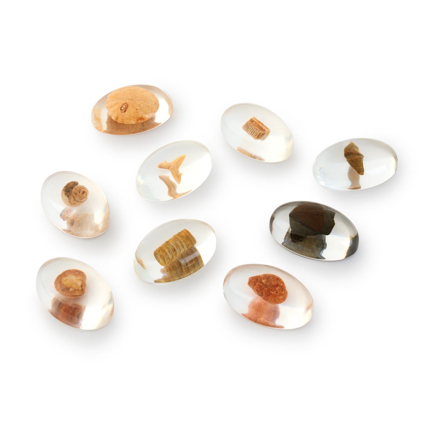 Specimen Stones